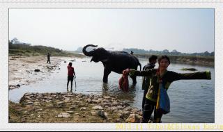 蜡笔小新剧场版排序